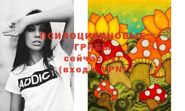 скорость Баксан
