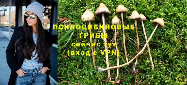 винт Балахна