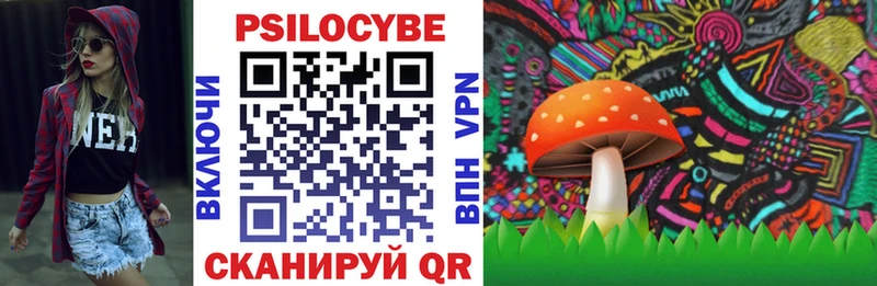 наркотики  Кяхта  Псилоцибиновые грибы прущие грибы 